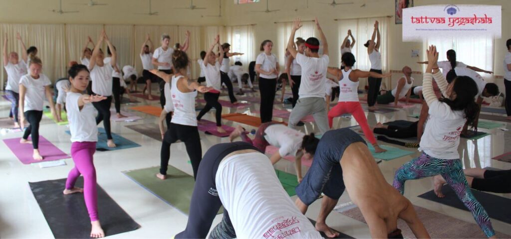 Tattvaa Yogashala 3