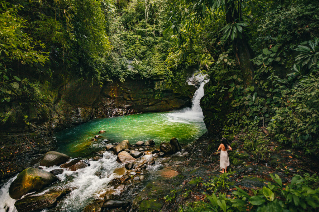 6 day ayahuasca retreat in San José, Costa Rica, Oct 2025