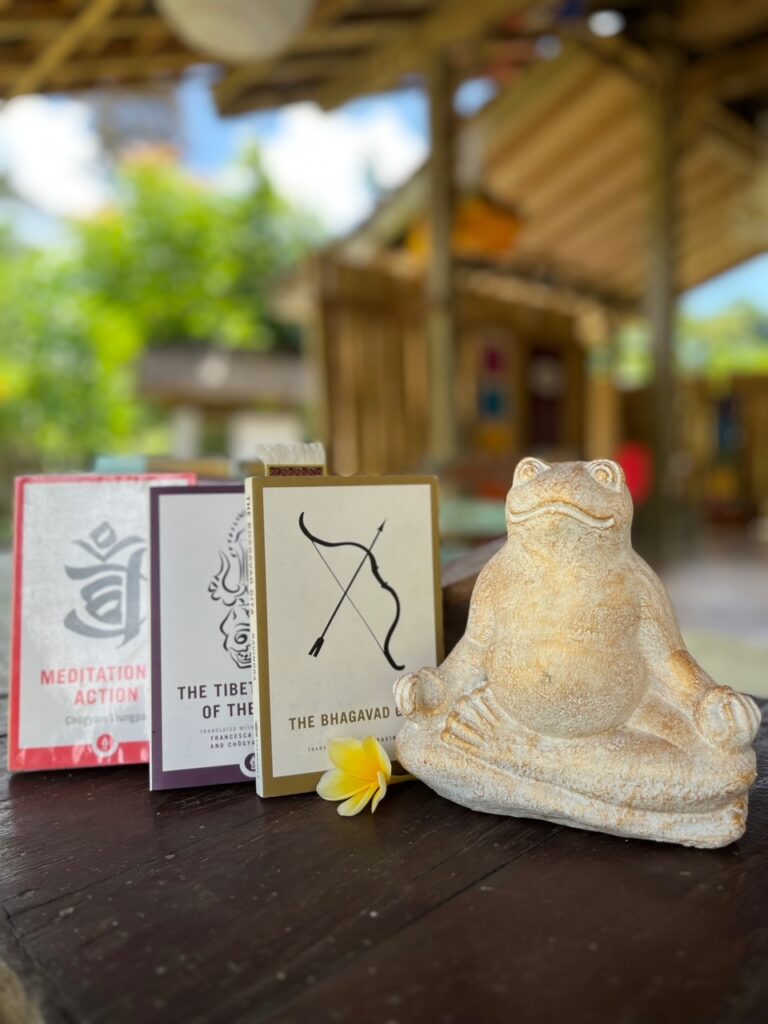 One Fit Wellness - Bali 6