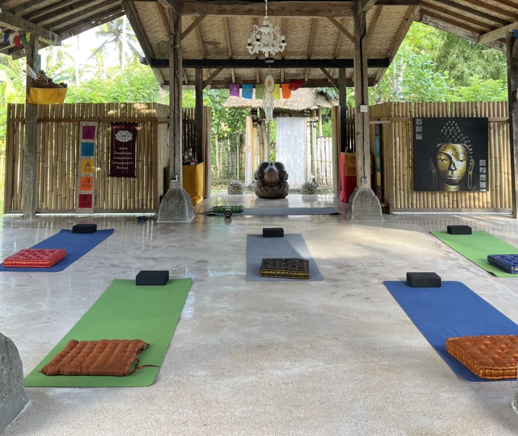 One Fit Wellness - Bali