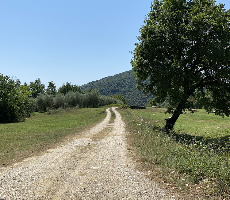 Yoga in Ciociaria 5