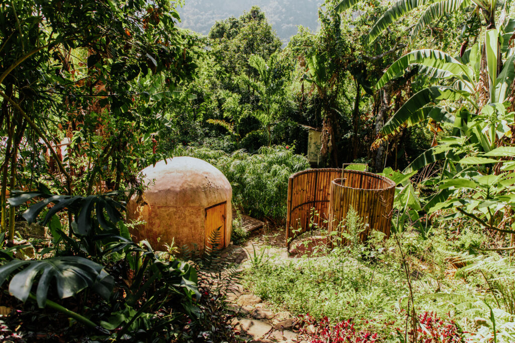 The Seed Habitat 4