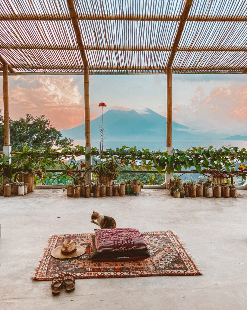 The Seed Habitat