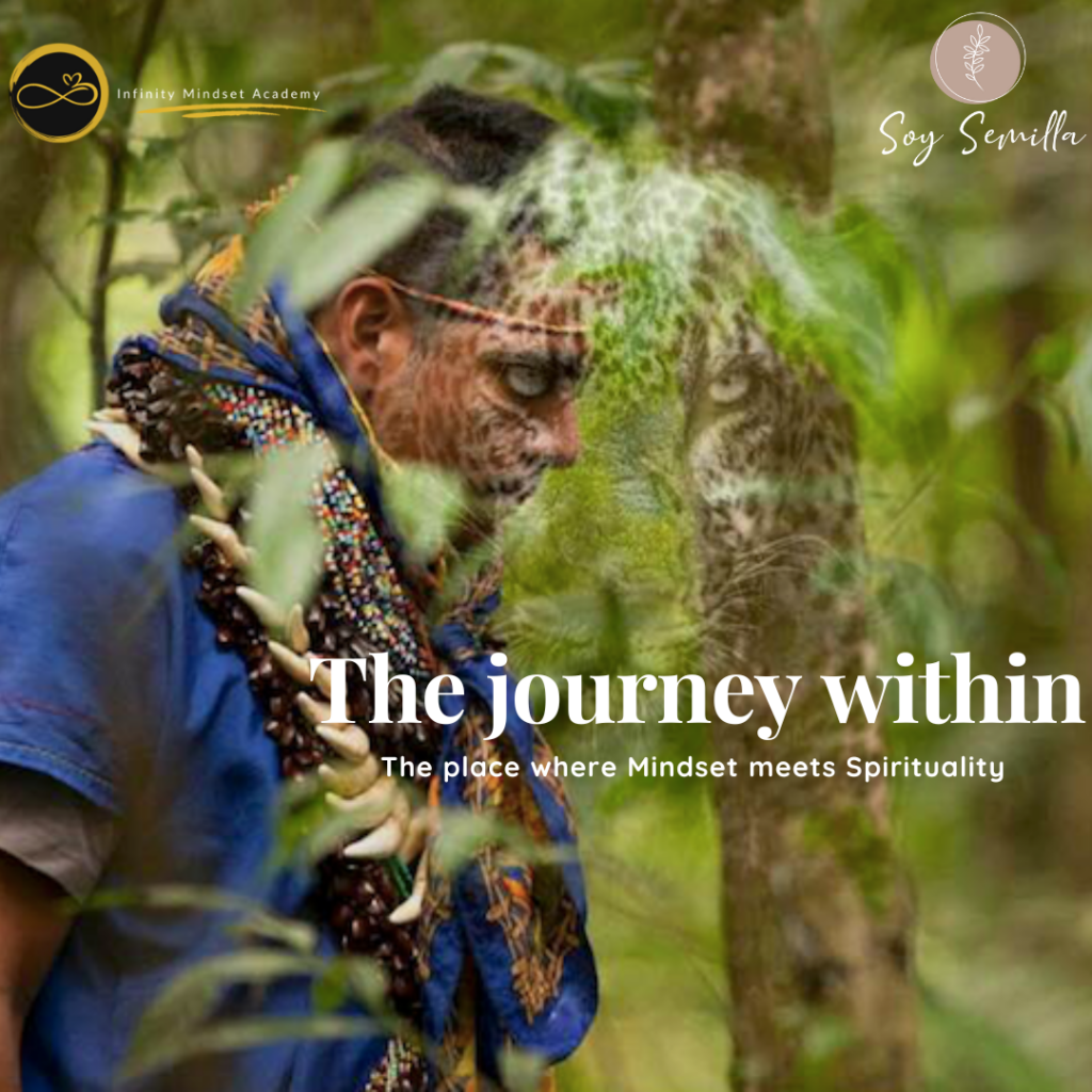 Infinity Mindset Academy & Soy Semilla