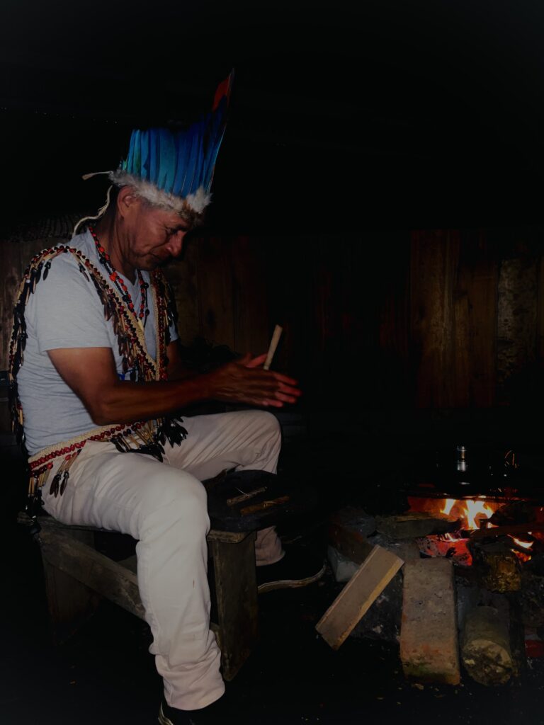 Selva Vida Travel 8