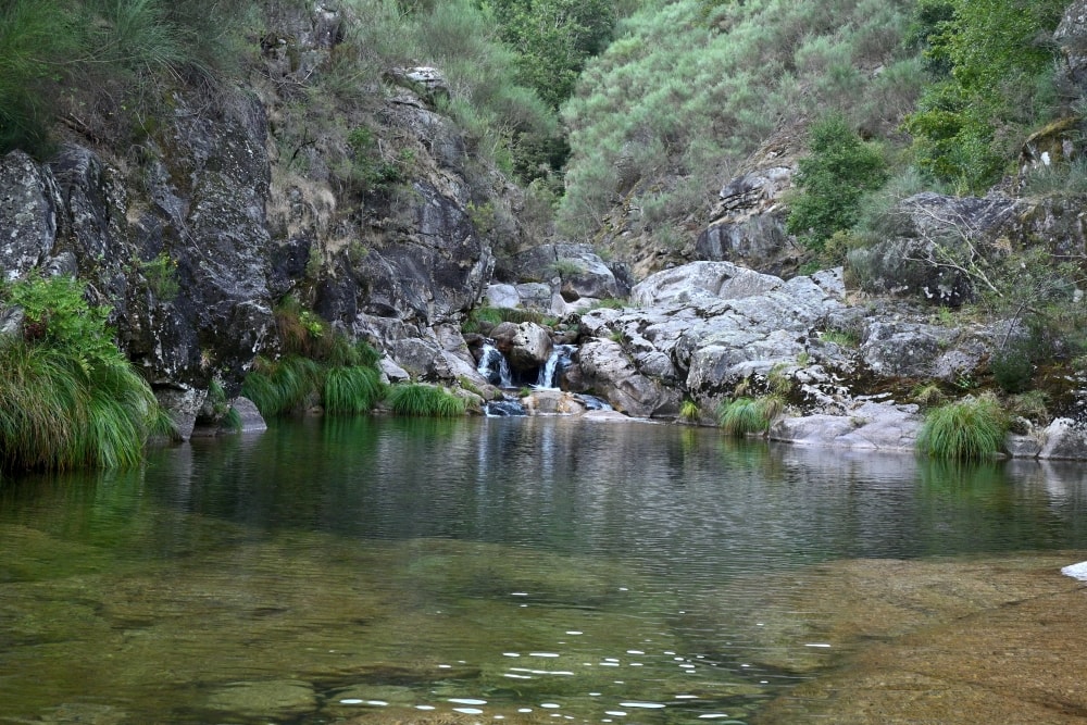 Peneda ecofarm 5