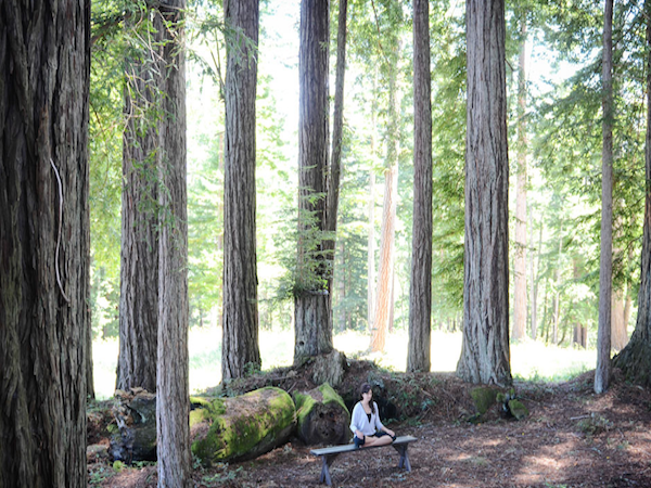 Ratna Ling Retreat Center 6