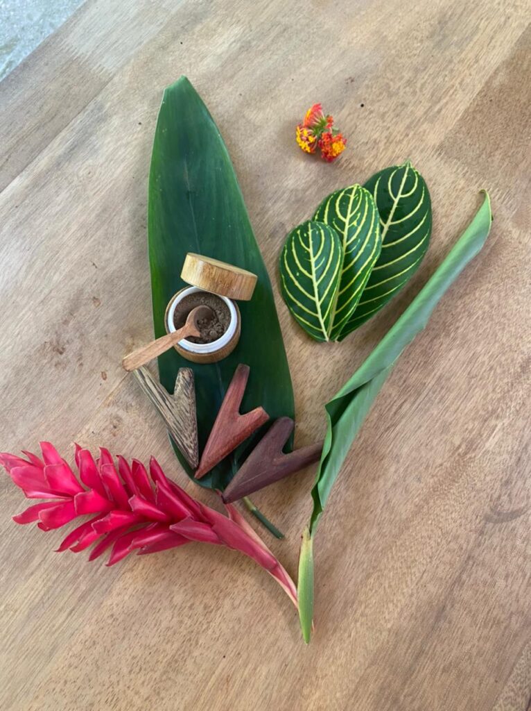 Home of Ayahuasca 5