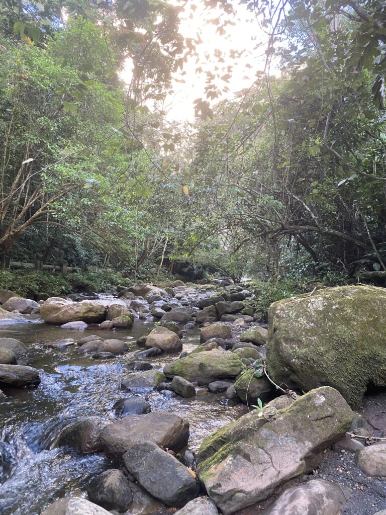 Sinchi Runa 2
