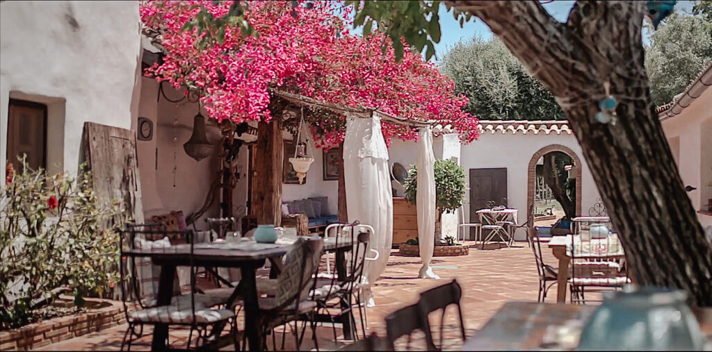 Holistic Hotel & Retreat Center Rancho Los Lobos