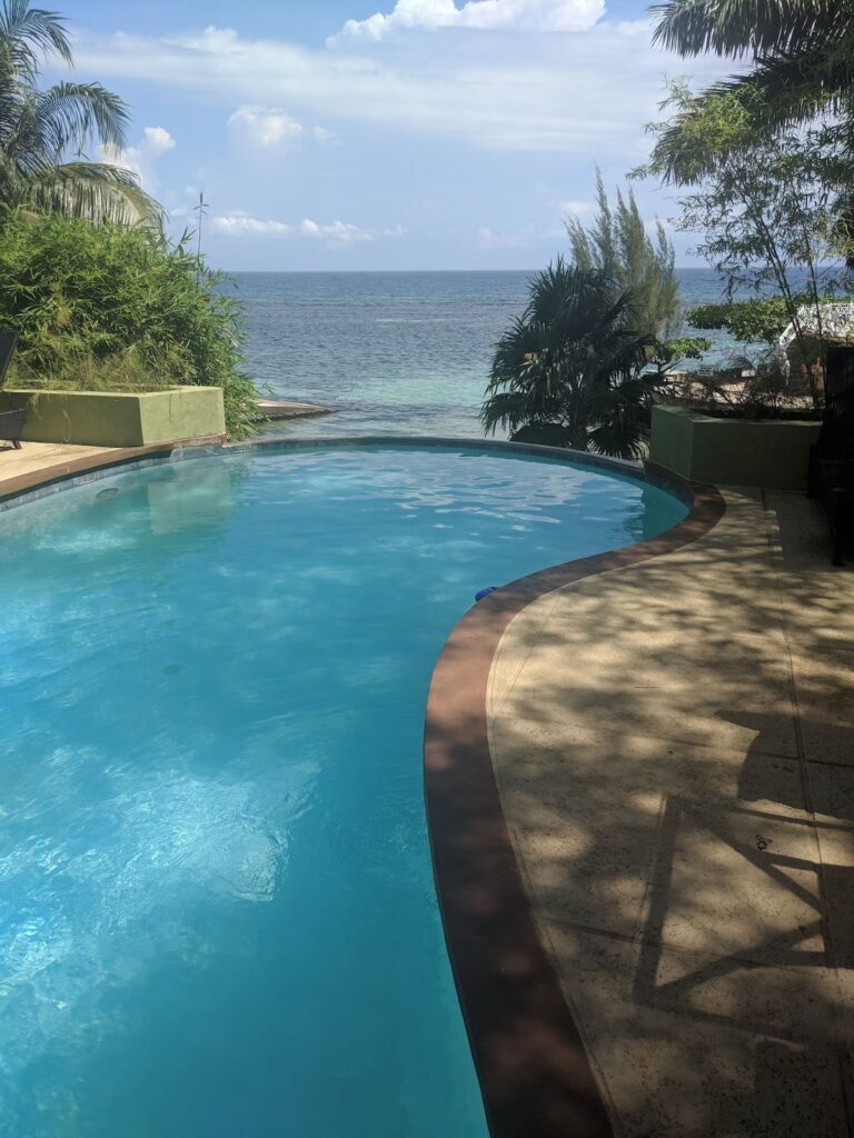 Enoki Retreat 4