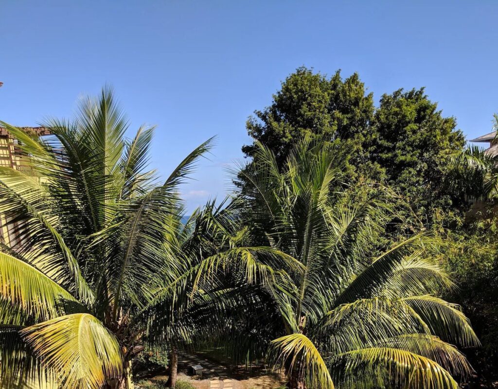 Enoki Retreat 6