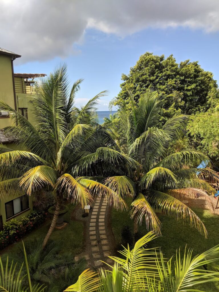 Enoki Retreat 5