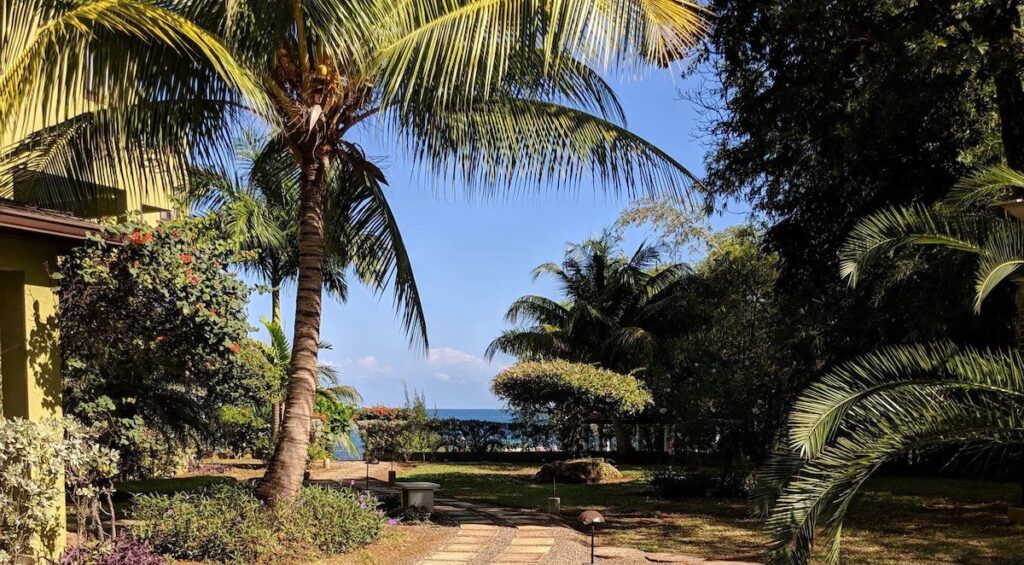 Enoki Retreat 2