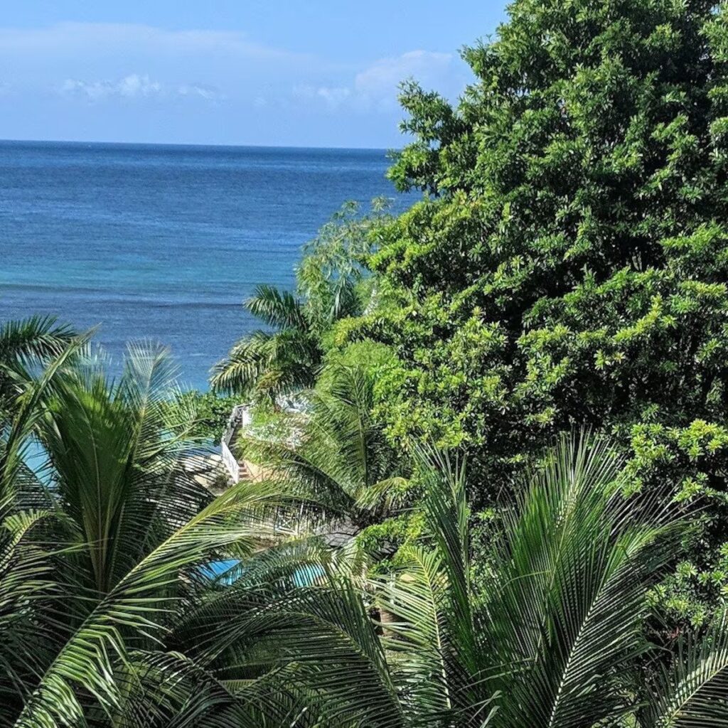 Enoki Retreat
