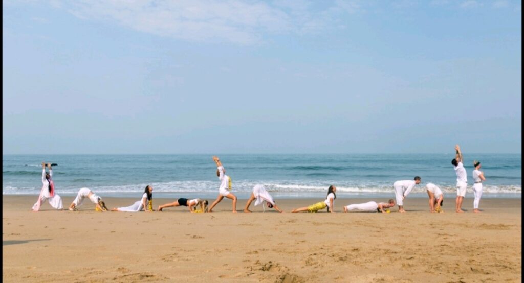 M.S.I.Y.S | MULTI-STYLE INDIAN YOGA SCHOOL 6