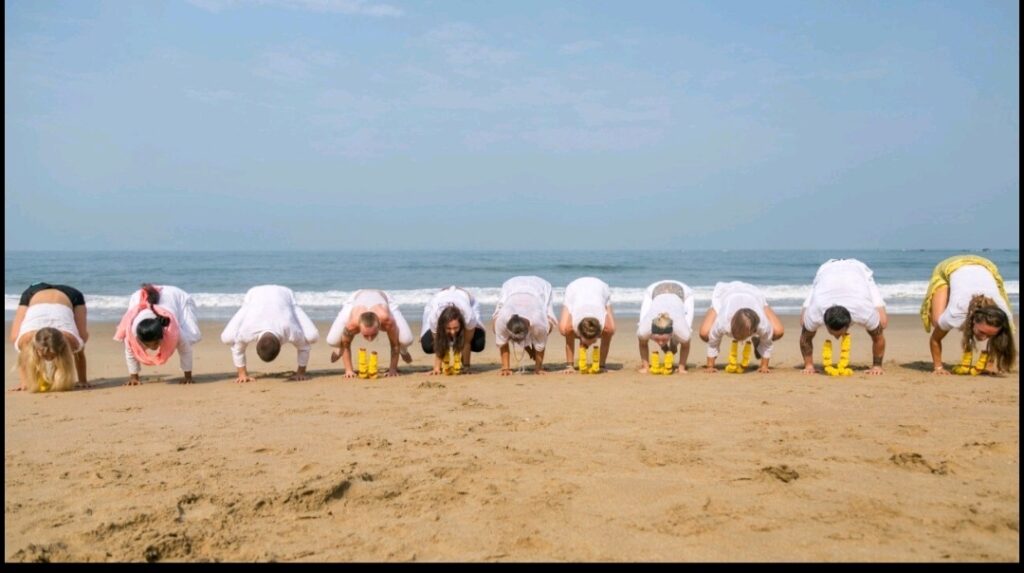 M.S.I.Y.S | MULTI-STYLE INDIAN YOGA SCHOOL 3