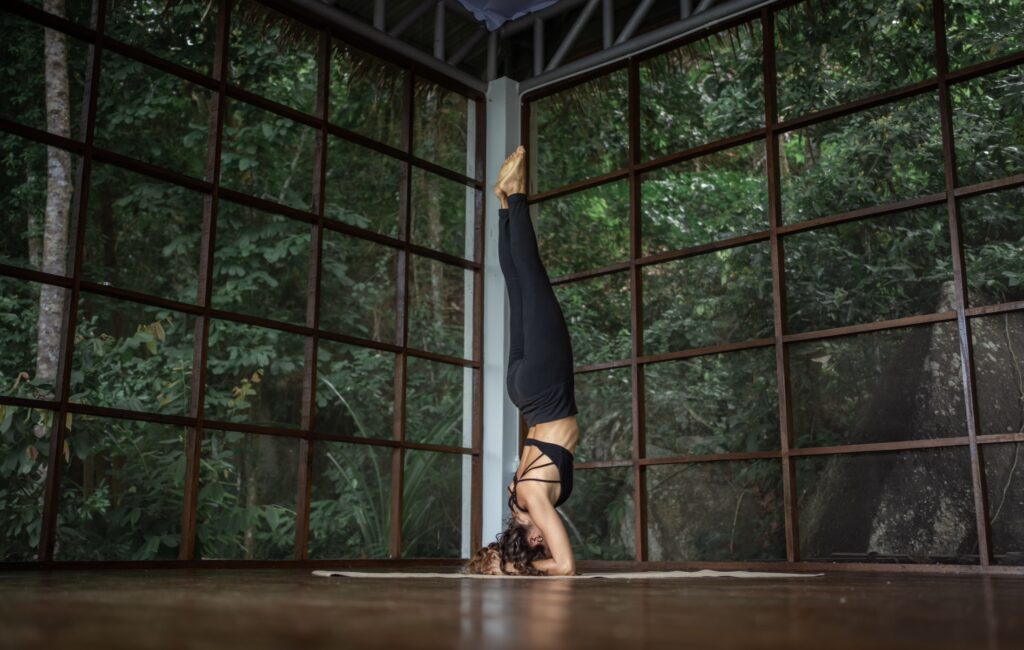 Moksha passionate Yoga 3