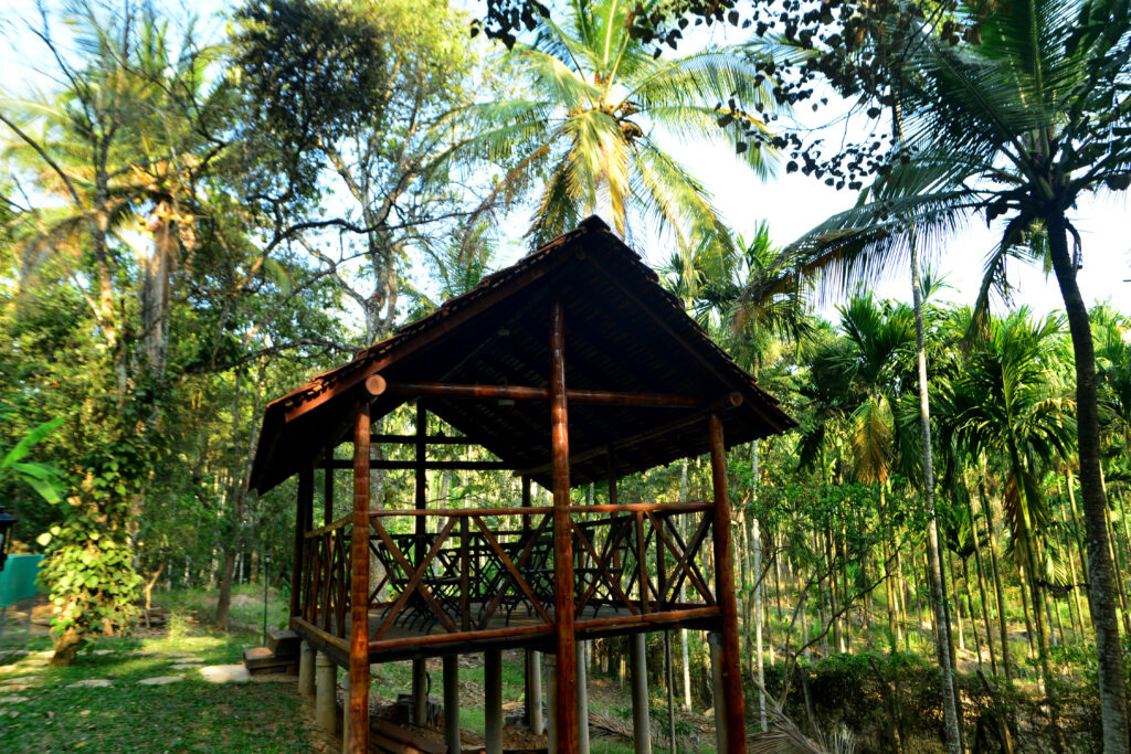 Waynroots 2