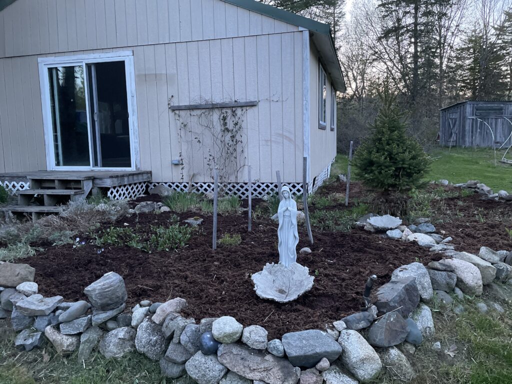 Rose Light Sanctuary 2