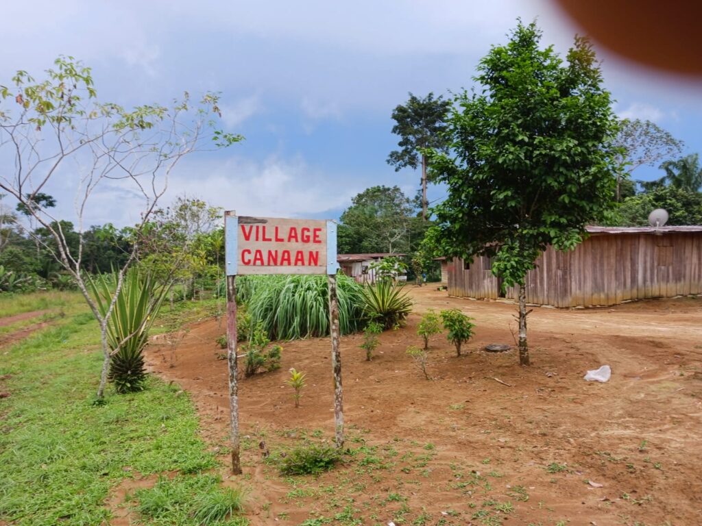 Bwiti Roots 8