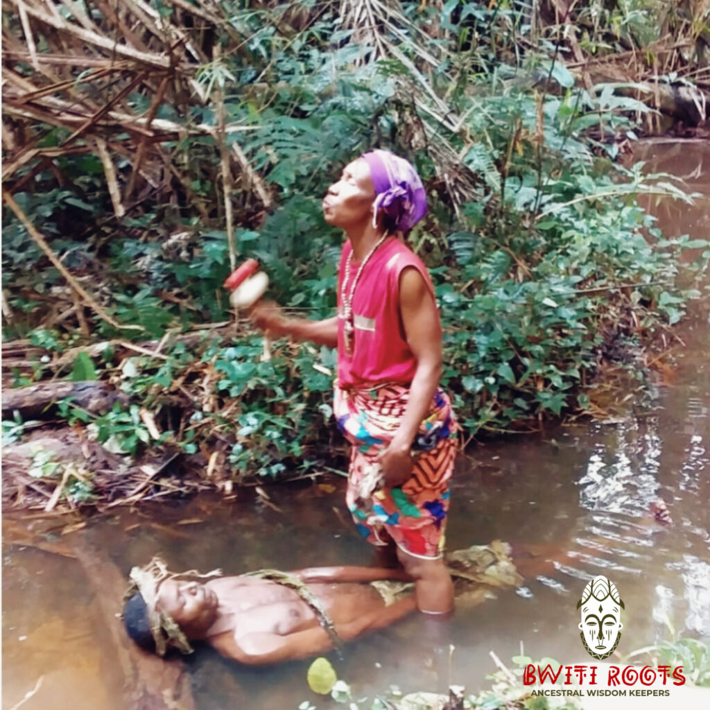 Bwiti Roots 5