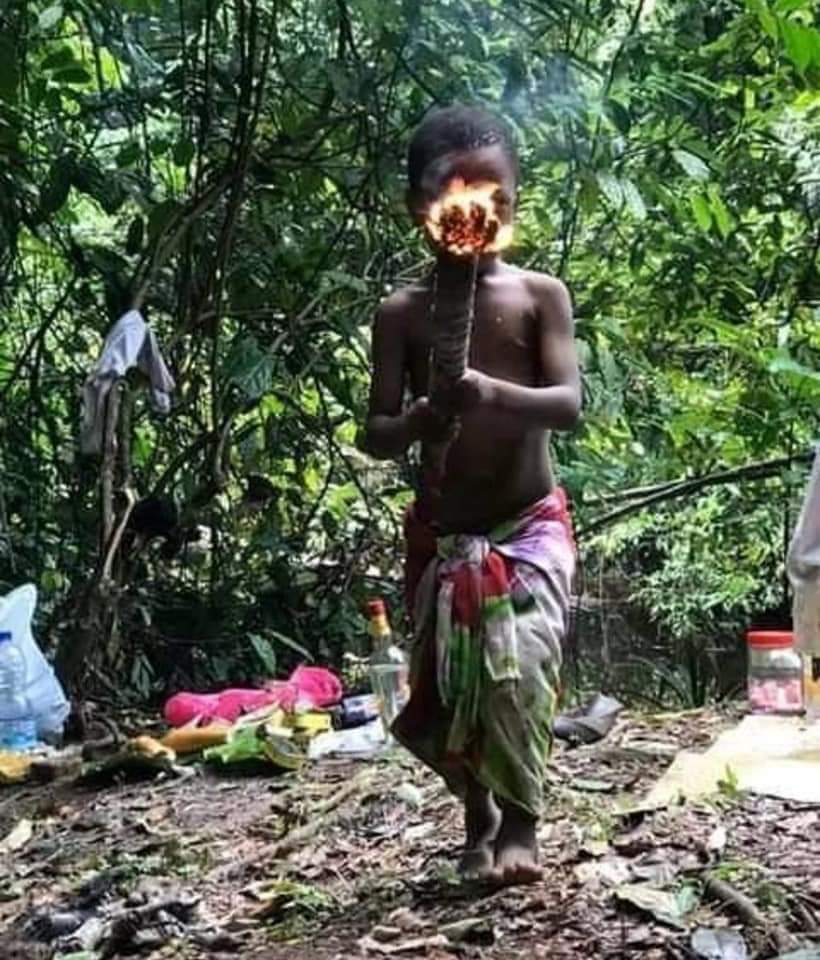 Bwiti Roots 6