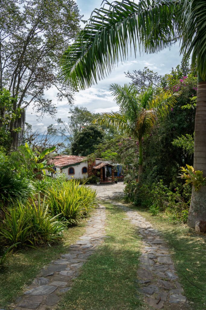 Harmonica Ayahuasca Retreat (formerly Guacamayo) 2