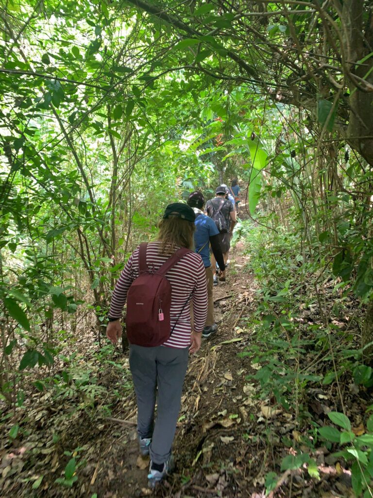 Retiro de silencio Vipassana en Chocó Colombia 3