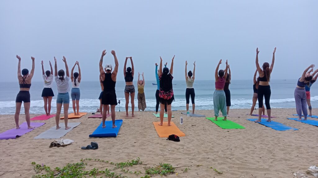 Rishikul Yogashala 5