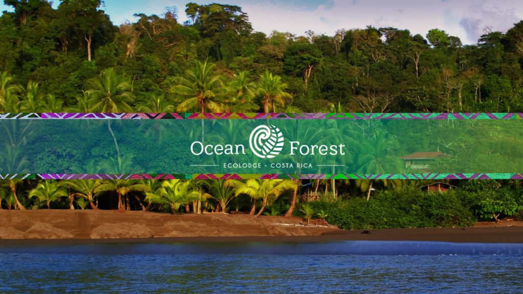 OCEAN FOREST ECOLODGE RETREAT CENTRE, COSTA RICA/DRAKE BAY: 250