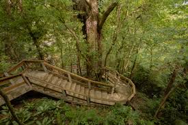 Belize Rest Retreat 2