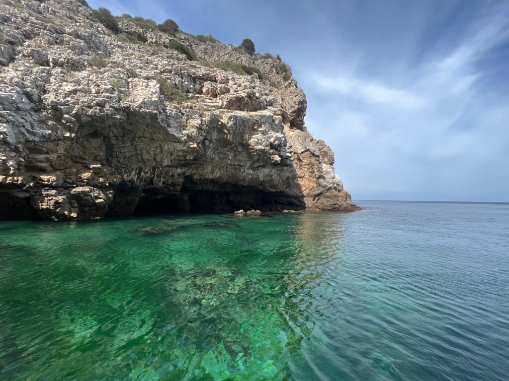 Mental Detox Retreat