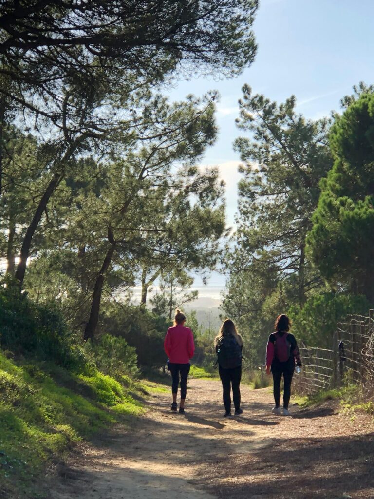 Mental Detox Retreat 6