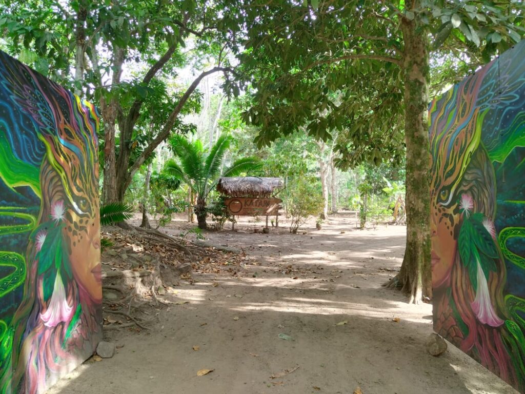 Authentic Ayahuasca & Teacher Plant Retreats 2