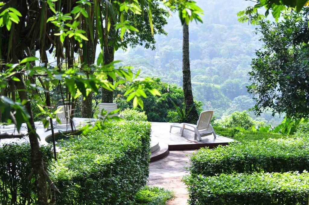 Samasati Wellness and Yoga Retreat 6