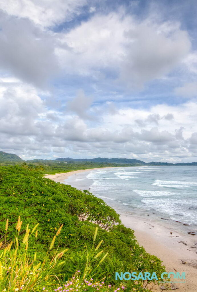 Move to Meditate, 5 day Yoga and Qi Gong Retreat 2