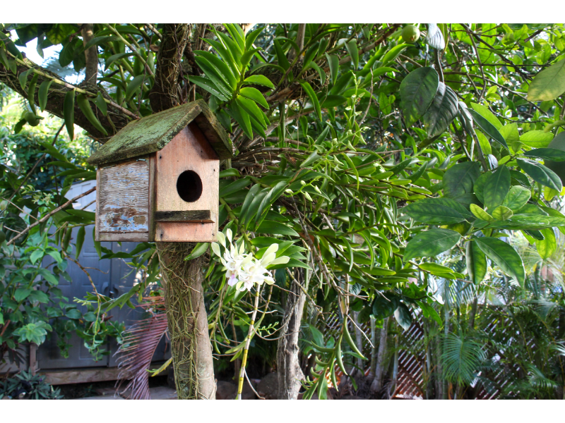 Moaina Retreat 5