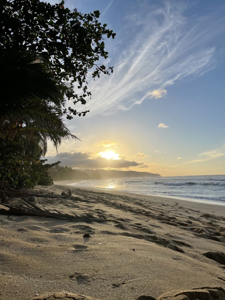 Moaina Retreat 6