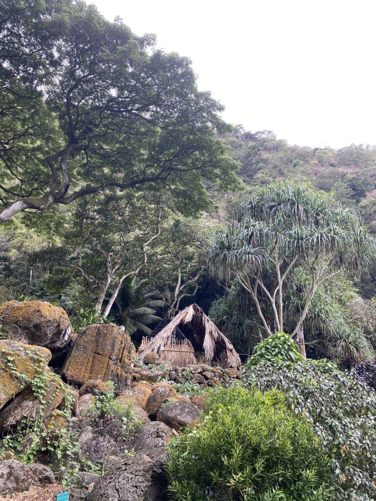 Moaina Retreat 8