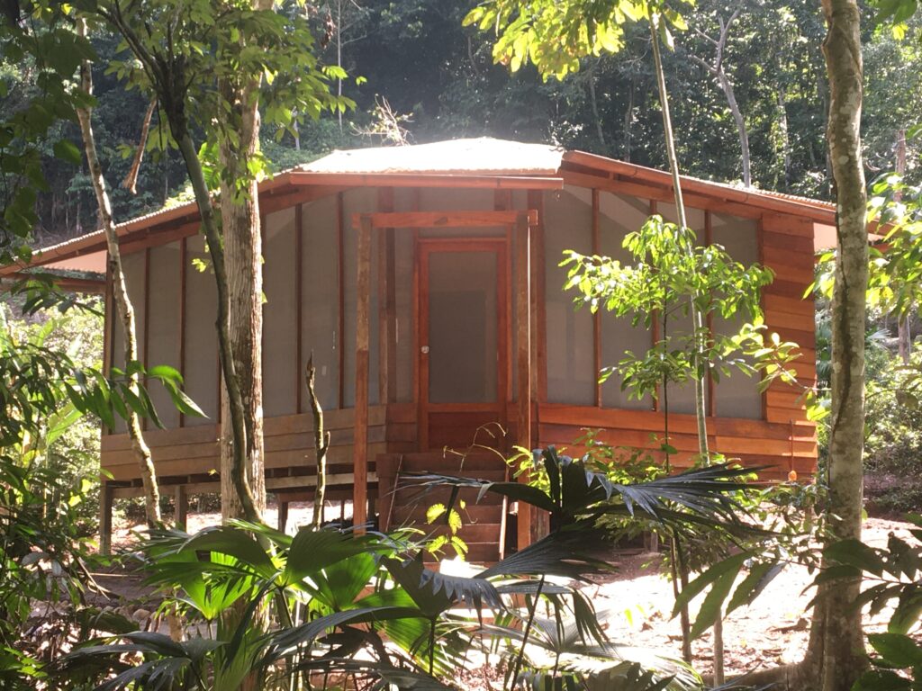 La Musa Verde 7