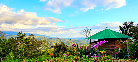 Ayahuasca Costa Rica 2
