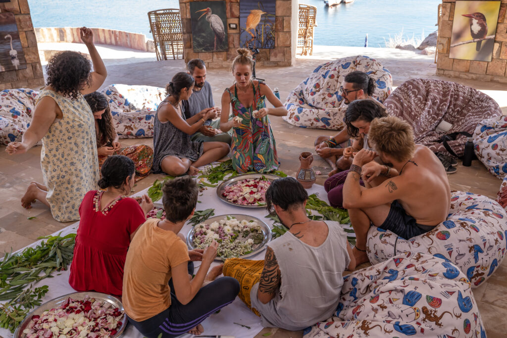 Holistic Egypt 7