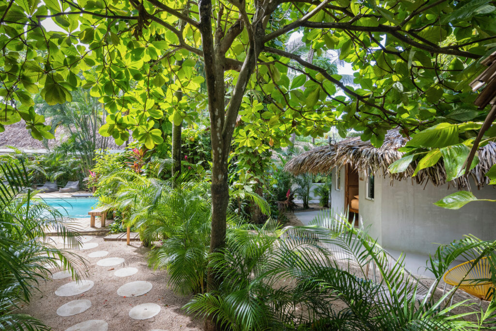 Nirvana Retreat 3
