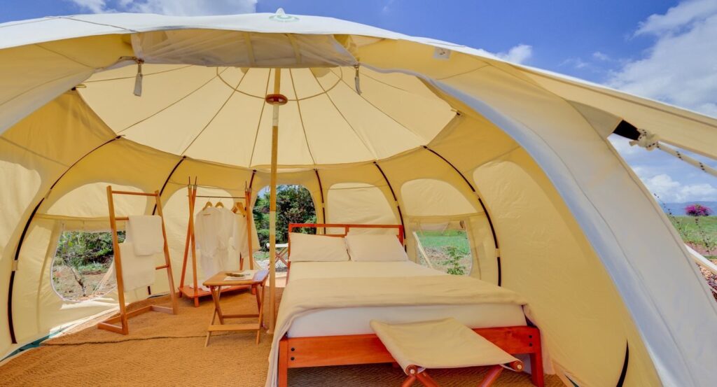 The Rebirthing Experience Women's Retreat w Psilocybin | Costa Rica 7