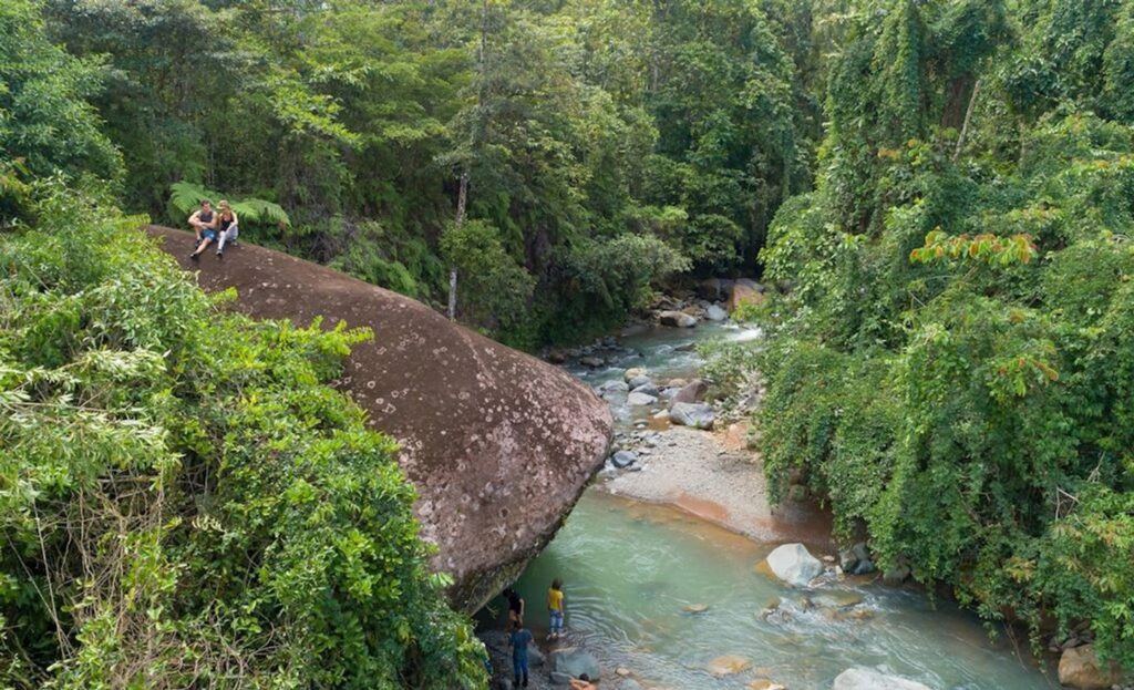 The Rebirthing Experience Women's Retreat w Psilocybin | Costa Rica 3