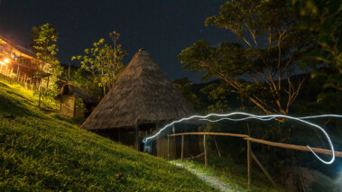 7 Nights Plants Medicines Retreat in Peruvian Amazon