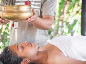 Swan Yoga Retreat 8