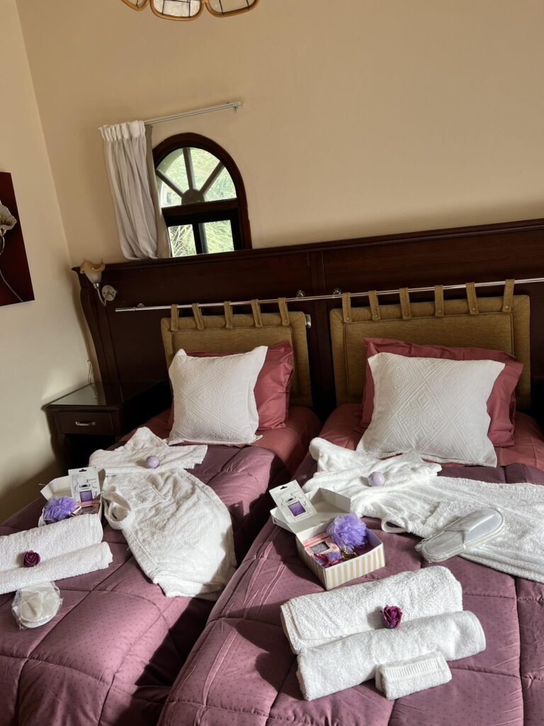 Elysium Cyprus Retreat 3
