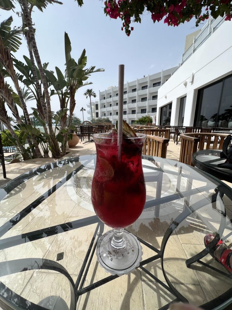 Elysium Cyprus Retreat 8